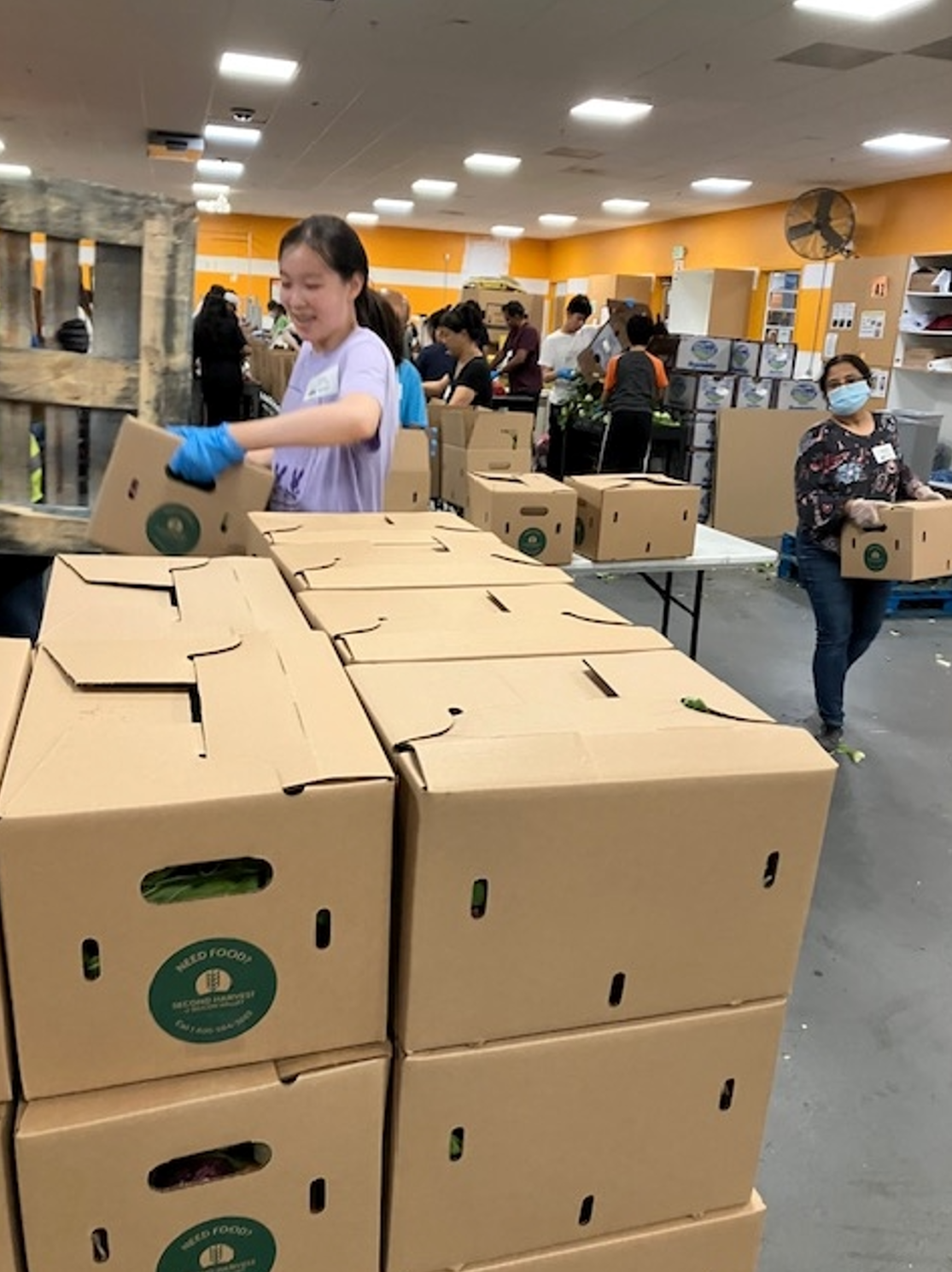 Volunteering at FCSN